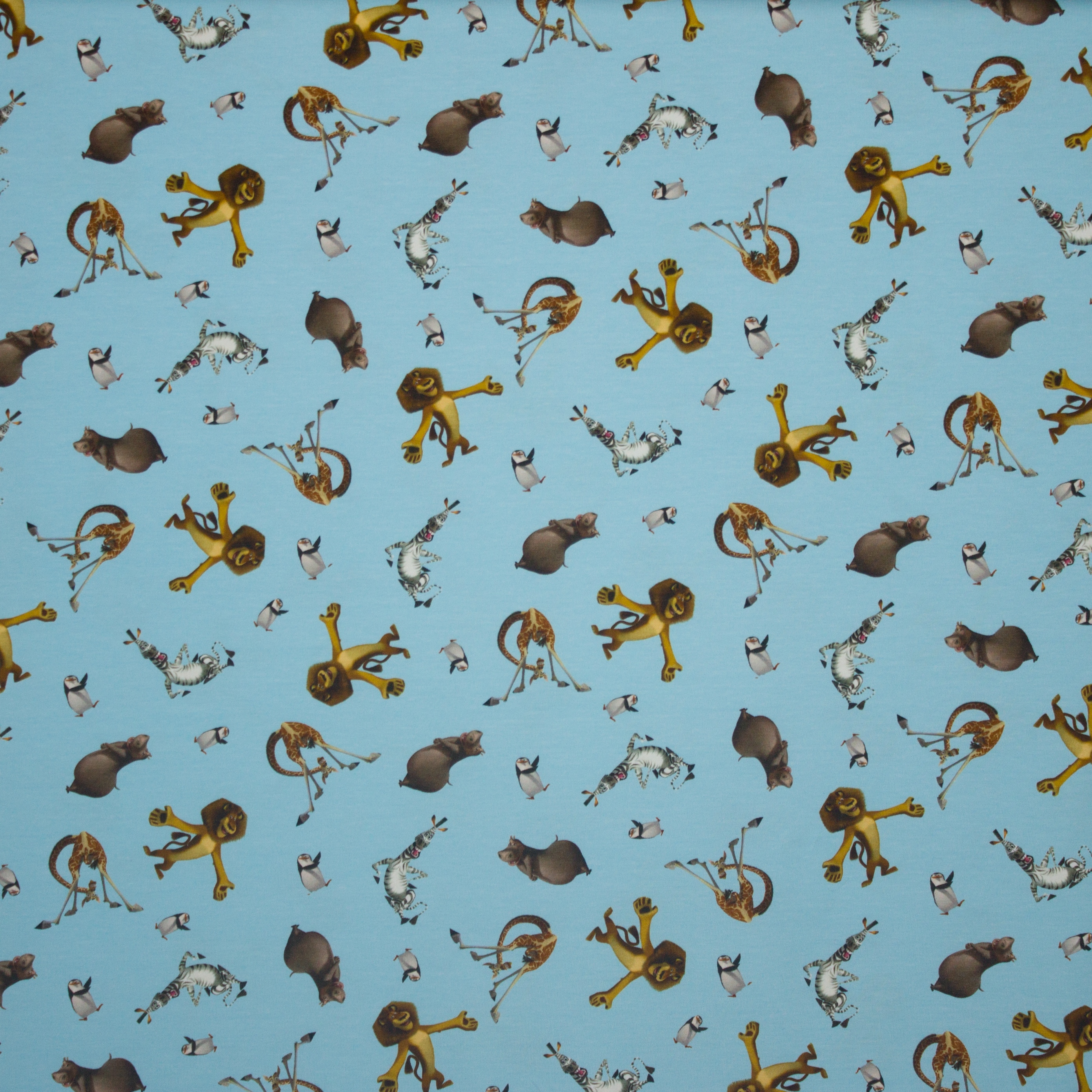 tricot met Madagascarmotief
